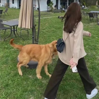 风云际会海报